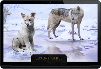 Luxusn� design pro chovatele